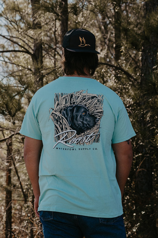 Roost Stealth Mode Pocket SS Tee - Blue
