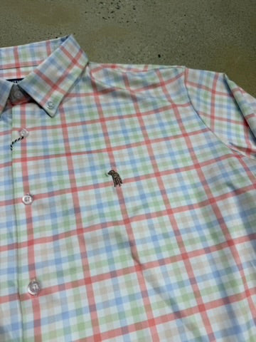 Southern Casanova LS Button Down - Dune Drift Check
