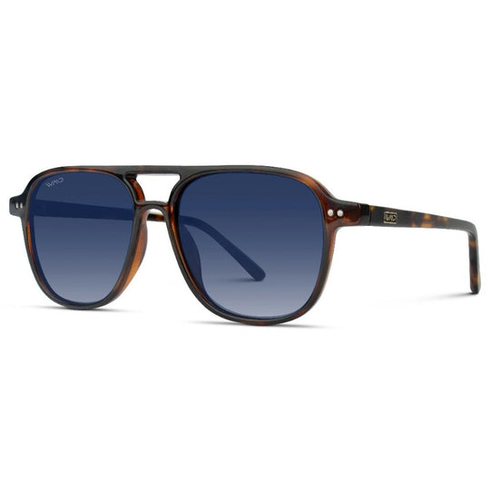 Hayden Polarized Sunglasses - Tortoise/Blue