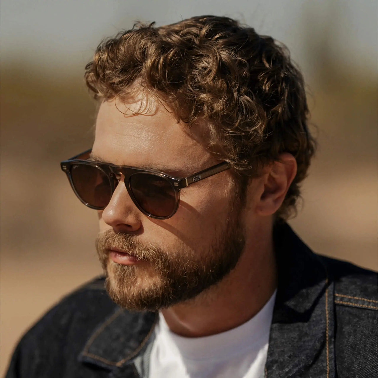 Axel Polarized Sunglasses - Crystal Gunmetal / Grey Brown Gradient