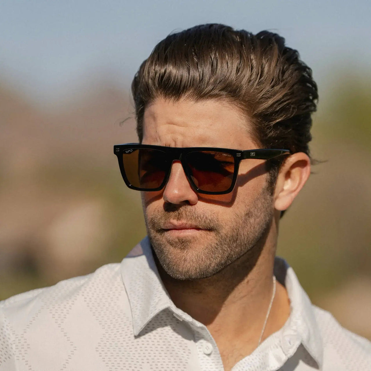Ace Polarized Sunglasses - Black/Brown