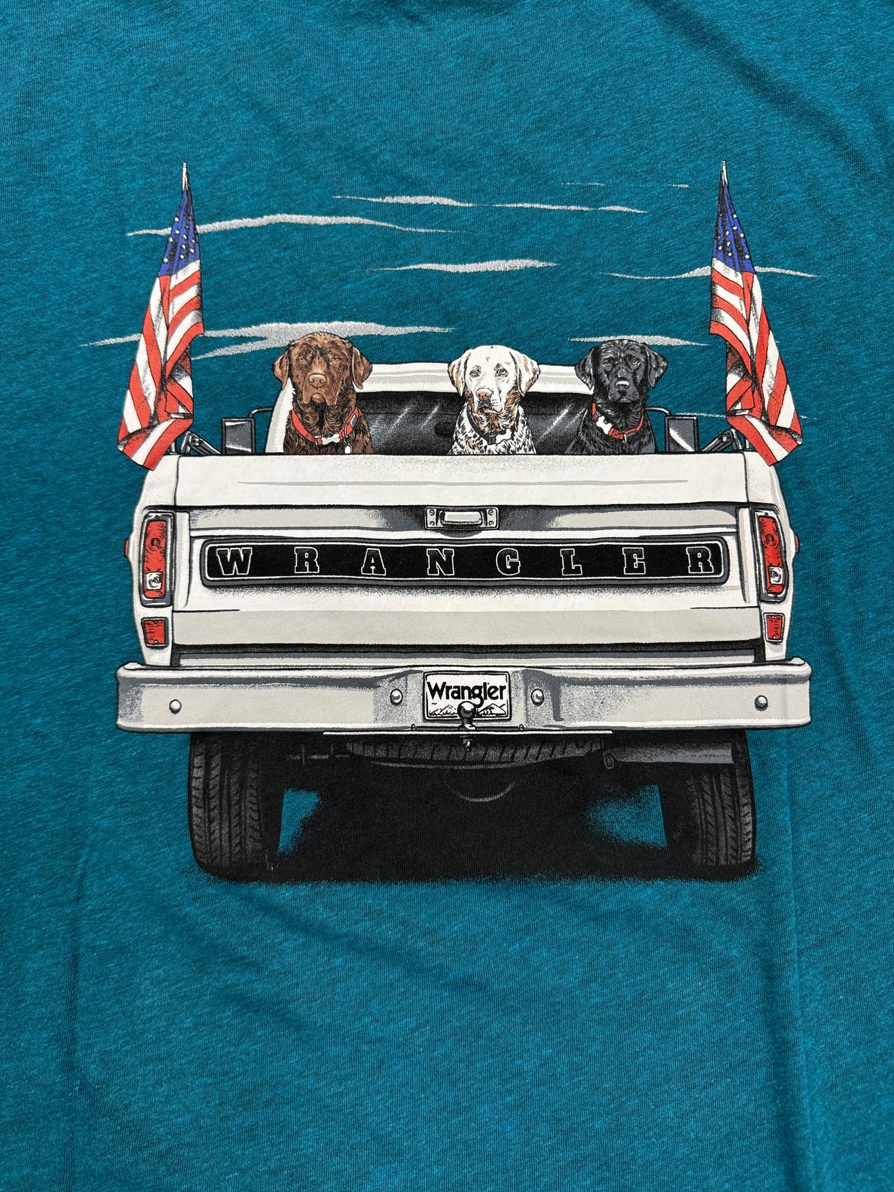 Tailgating Dogs SS Tee - Heathered Teal