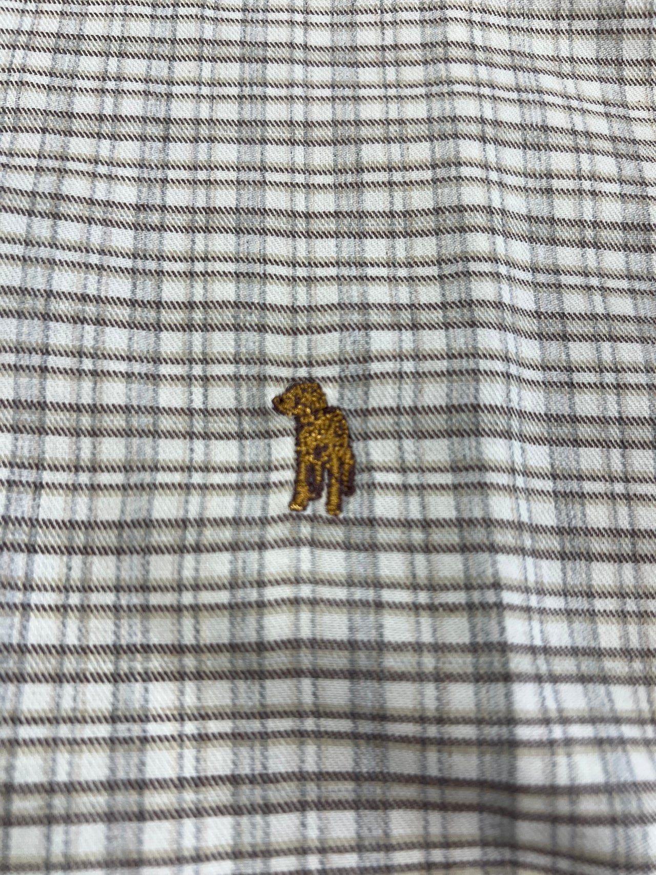 Southern Casanova Button Down - Wild Timber