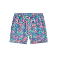Thumbnail for Electric Playa Lined Swim Trunk