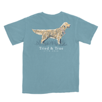 Thumbnail for Tried & True SS Tee - Ice Blue