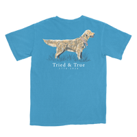 Thumbnail for Youth Tried & True SS Tee - Ice Blue