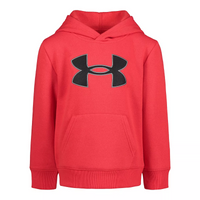 Thumbnail for Youth Under Armour Big Logo Applique Hoodie
